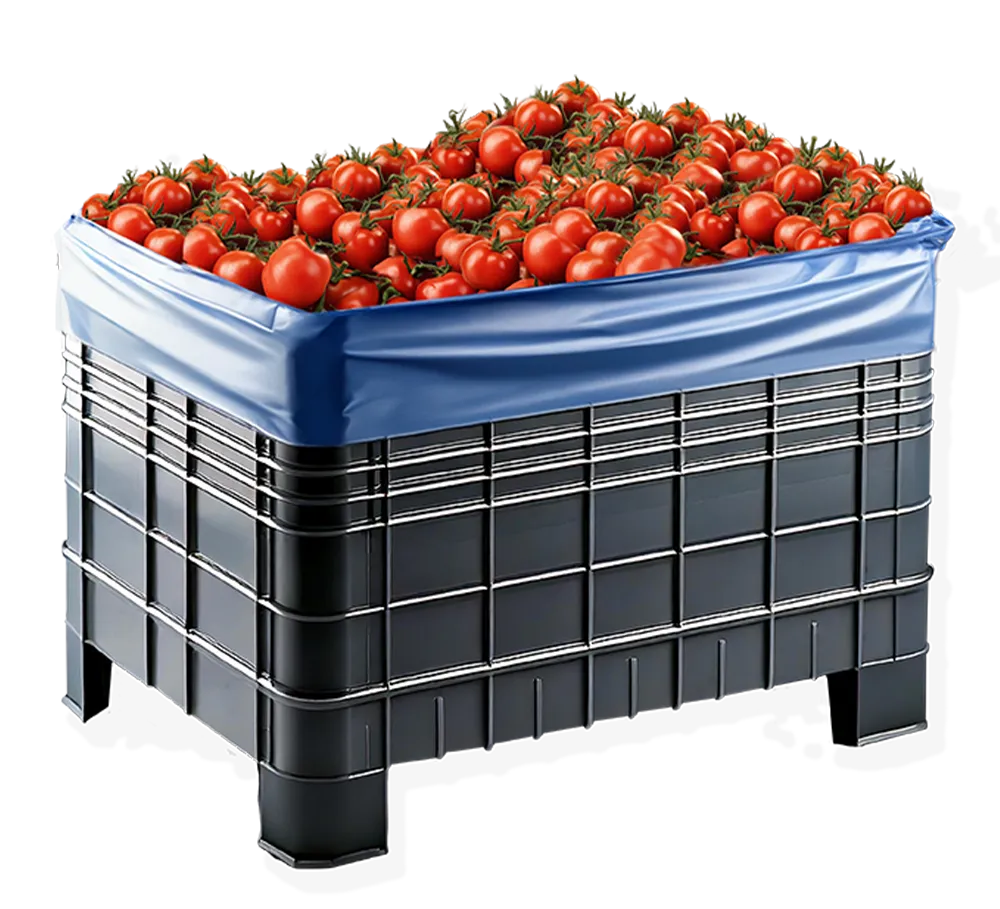 bins-pomodori